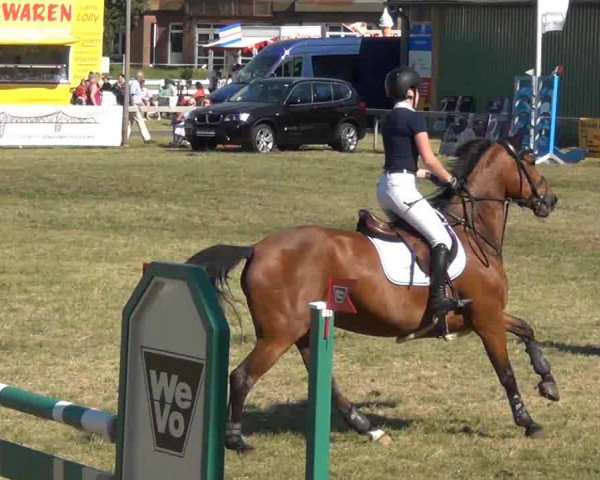 Reitturnier Rendsburg 2013