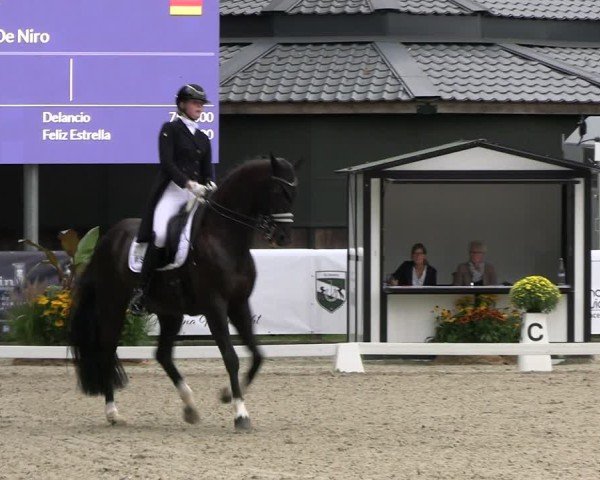 Reitturnier Solingen 2024