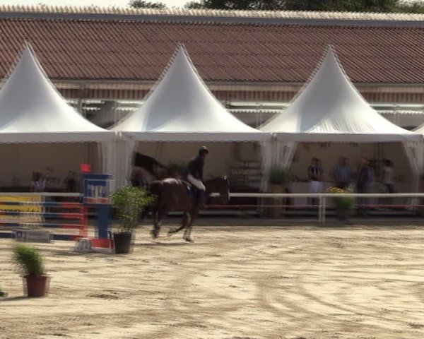 Reitturnier Werne 2024