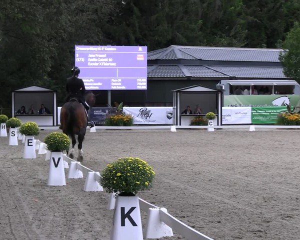 Reitturnier Solingen 2024