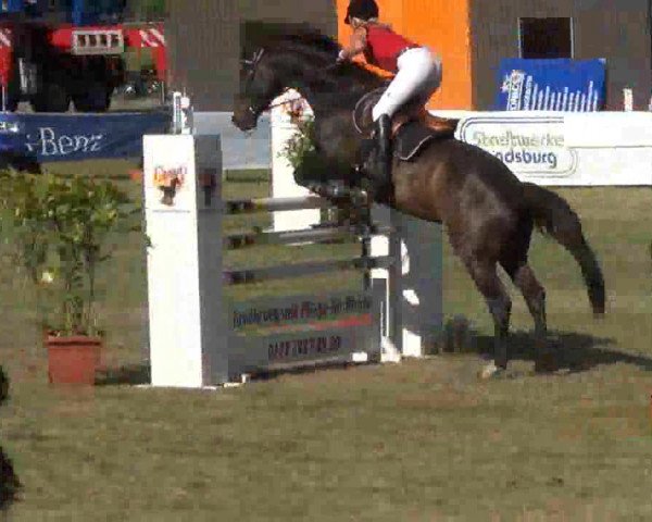 Reitturnier Rendsburg 2013