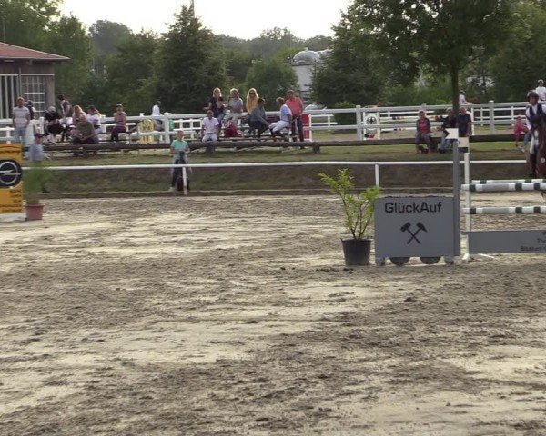 Reitturnier Werne 2024