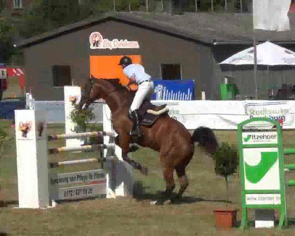 Reitturnier Rendsburg 2013
