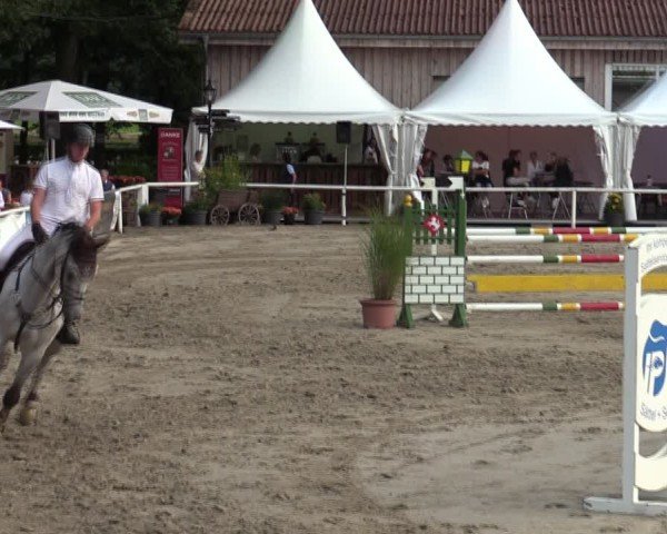 Reitturnier Werne 2024