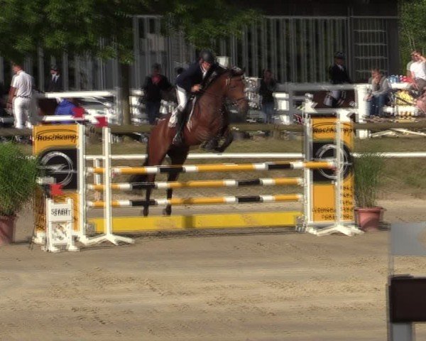 Reitturnier Werne 2024