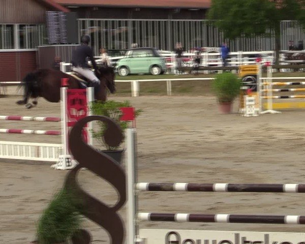 Reitturnier Werne 2024