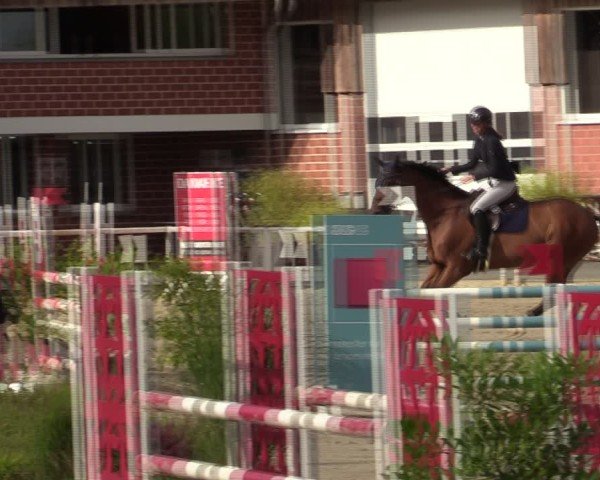 Reitturnier Werne 2024