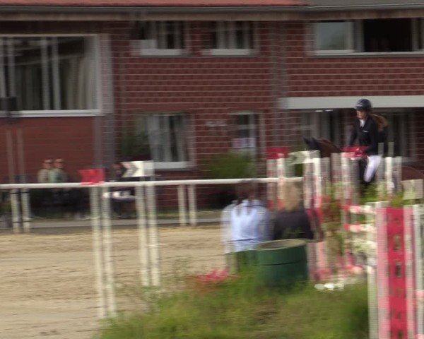 Reitturnier Werne 2024