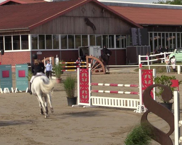 Reitturnier Werne 2024