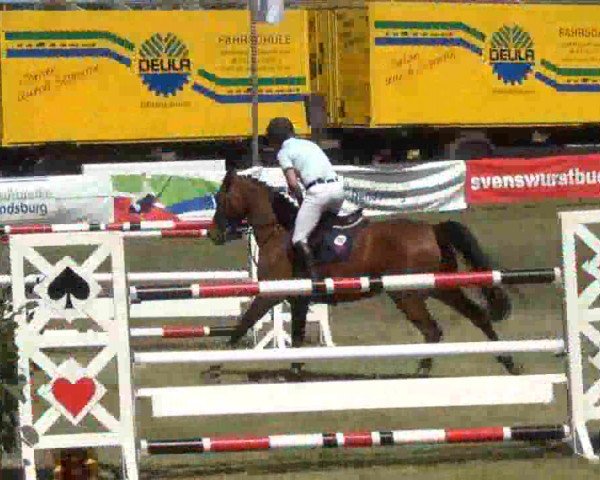 Reitturnier Rendsburg 2013