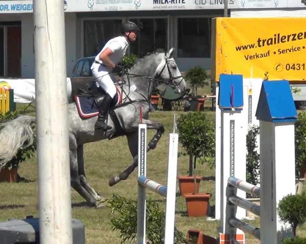 Reitturnier Rendsburg 2013