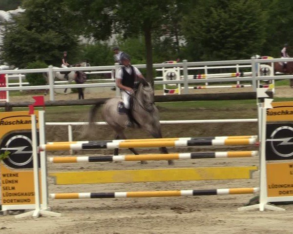 Reitturnier Werne 2024