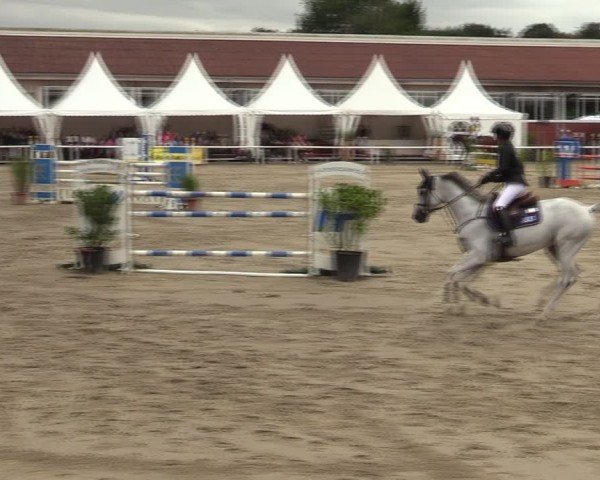 Reitturnier Werne 2024