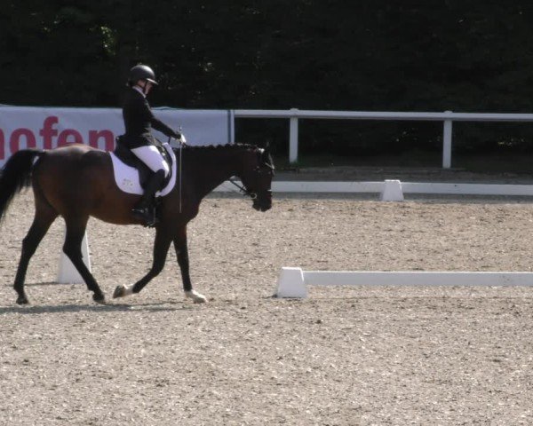 Reitturnier Zillhofen/Obb. 2024