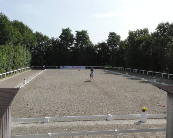 Reitturnier Zillhofen/Obb. 2024