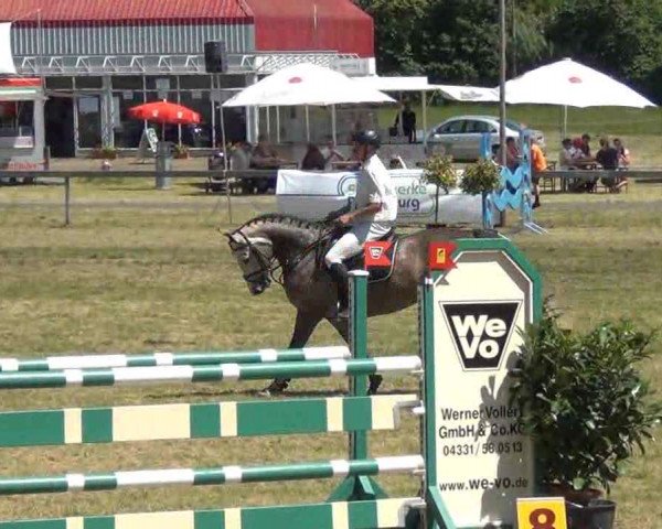 Reitturnier Rendsburg 2013