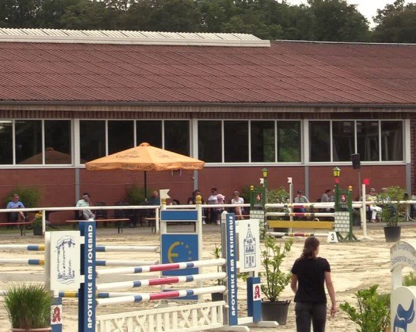 Reitturnier Werne 2024