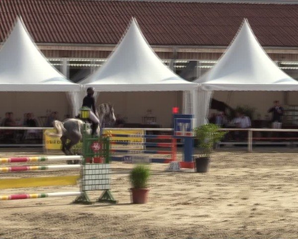 Reitturnier Werne 2024