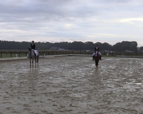 Reitturnier Ostbevern 2024