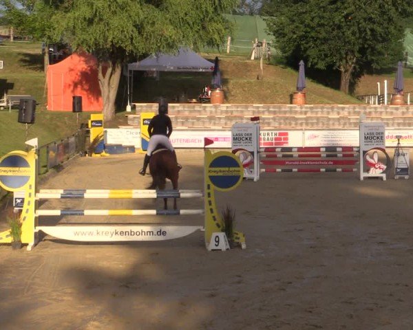 Reitturnier Duderstadt 2024