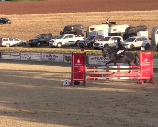 Reitturnier Duderstadt 2024