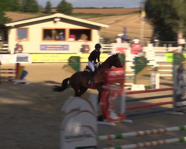 Reitturnier Duderstadt 2024