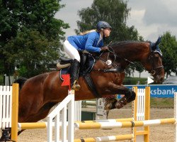jumper Captain's Cristella TF (Westphalian, 2010, from Captain Fire)