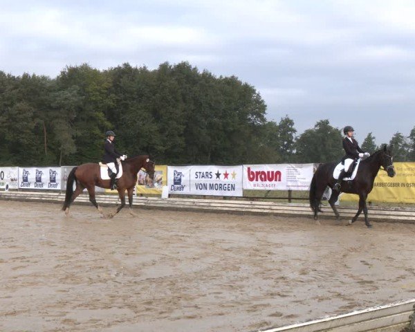 Reitturnier Ostbevern 2024