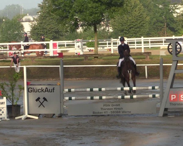 Reitturnier Werne 2024