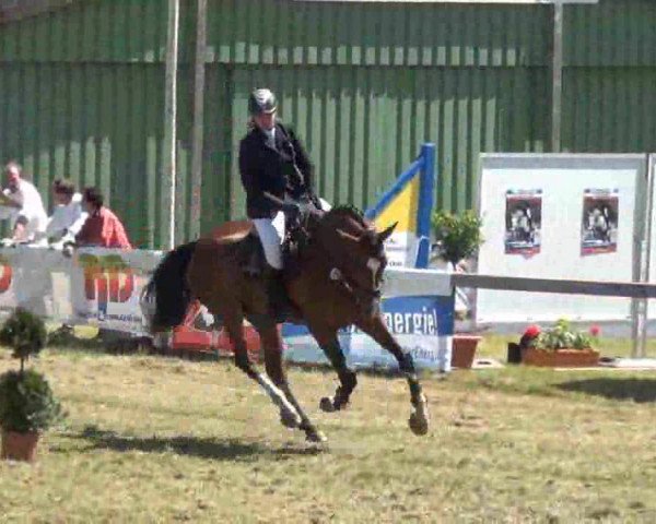 Reitturnier Rendsburg 2013