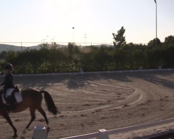 Reitturnier Großbardorf/Ufr. 2024