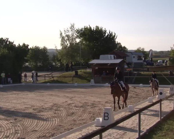 Reitturnier Großbardorf/Ufr. 2024