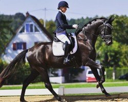 dressage horse Flaconi M (Württemberger, 2020, from Fürstenball)