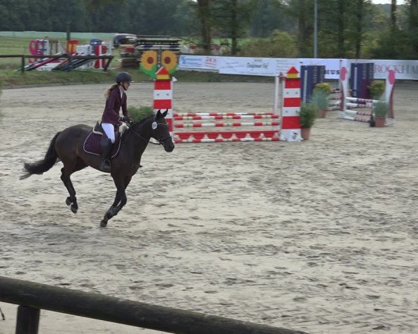 Reitturnier Sieversen - Rosengarten 2024