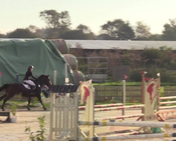 Reitturnier Schülp / Rendsburg 2021