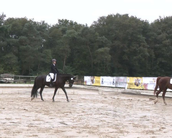 Reitturnier Ostbevern 2024