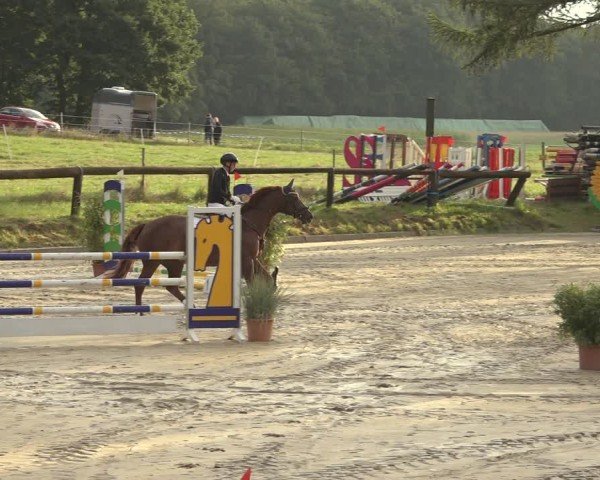 Reitturnier Sieversen - Rosengarten 2024