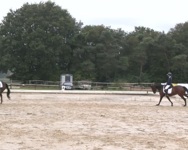 Reitturnier Ostbevern 2024