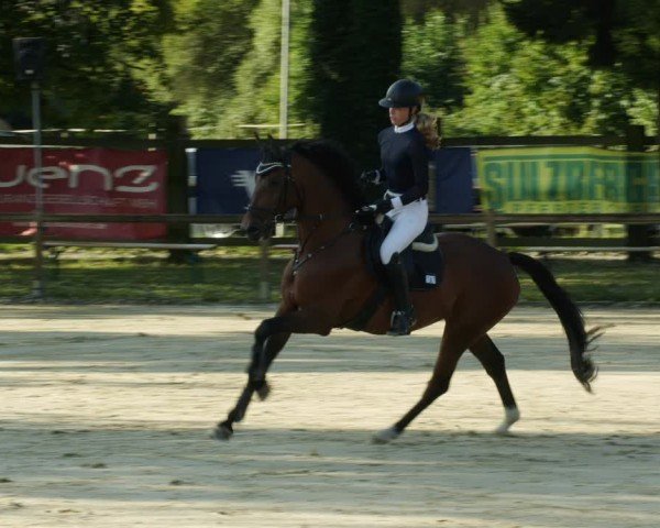 Reitturnier Walldorf/Winterheck 2024