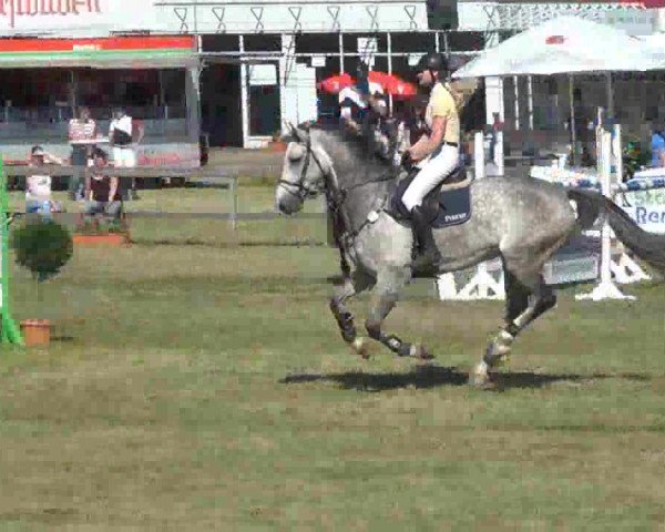 Reitturnier Rendsburg 2013