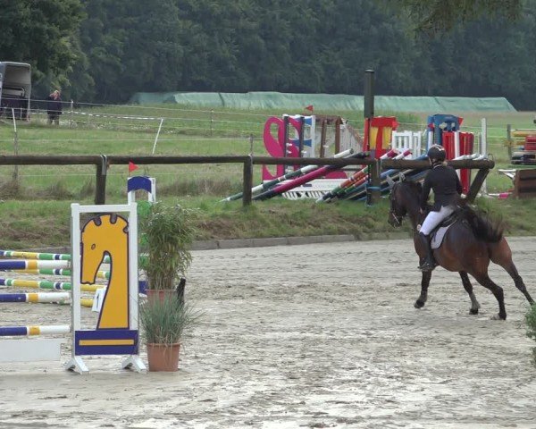 Reitturnier Sieversen - Rosengarten 2024