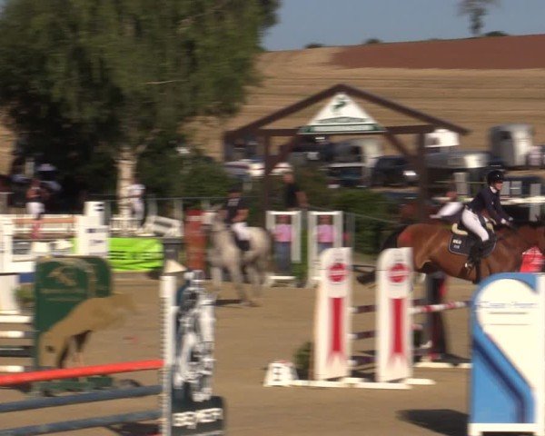 Reitturnier Duderstadt 2024
