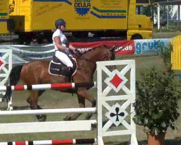 Nord-Ost-Pferd 2013