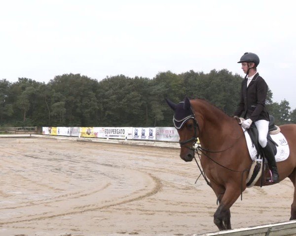 Reitturnier Ostbevern 2024