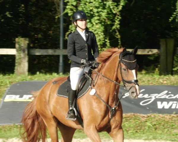 Reitturnier Walldorf/Winterheck 2024