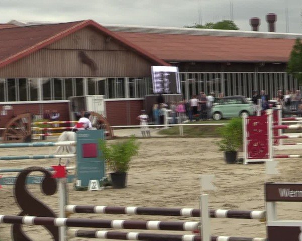 Reitturnier Werne 2024