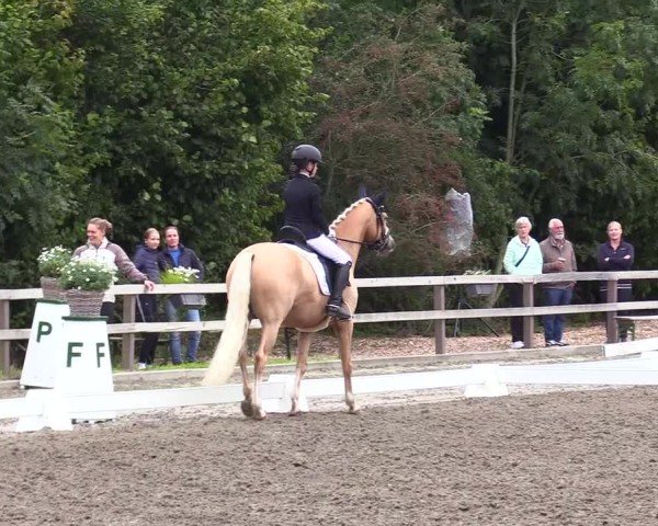 Reitturnier Kleinsolter Turniertage 2024