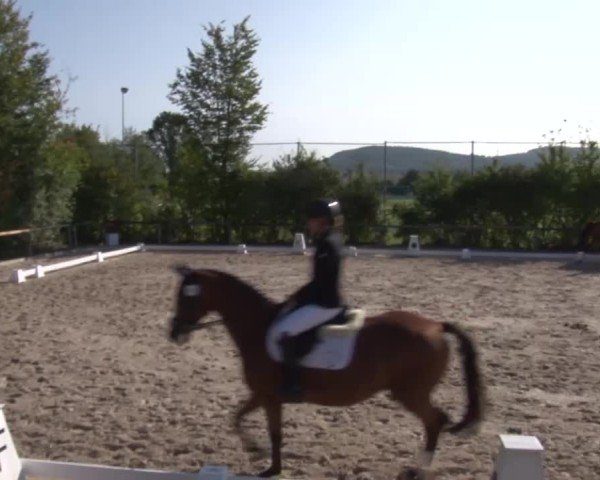 Reitturnier Großbardorf/Ufr. 2024