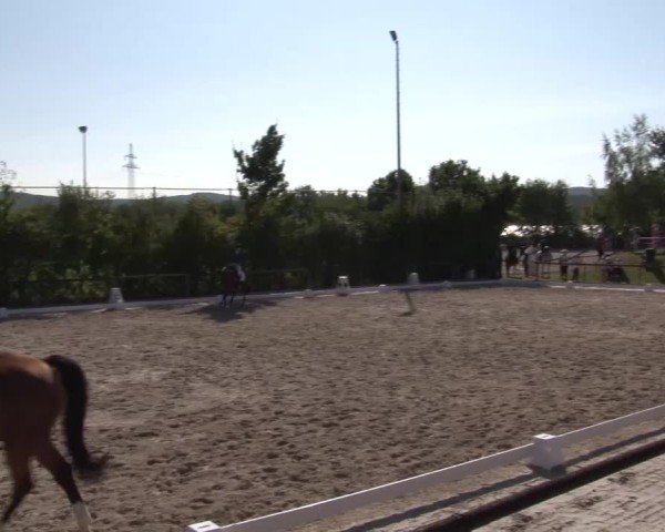 Reitturnier Großbardorf/Ufr. 2024