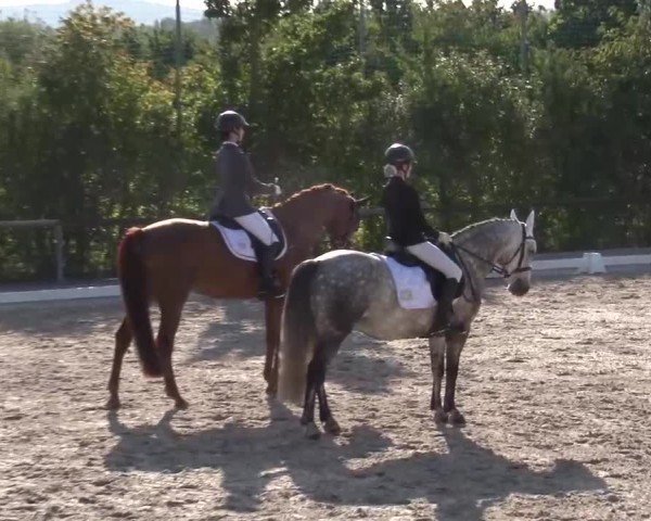 Reitturnier Großbardorf/Ufr. 2024